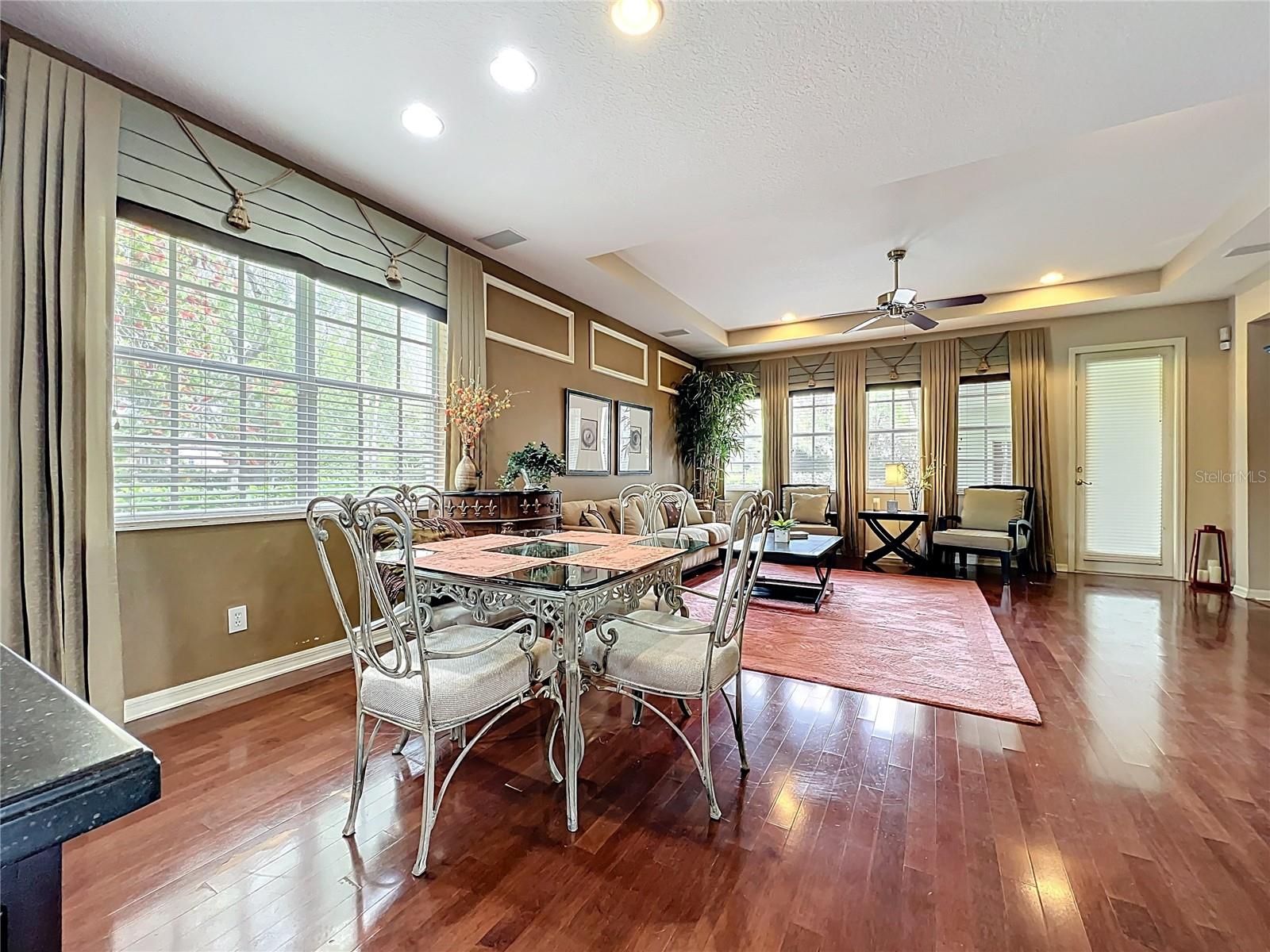 6002 CHURCHSIDE DR, LITHIA, FL, 33547