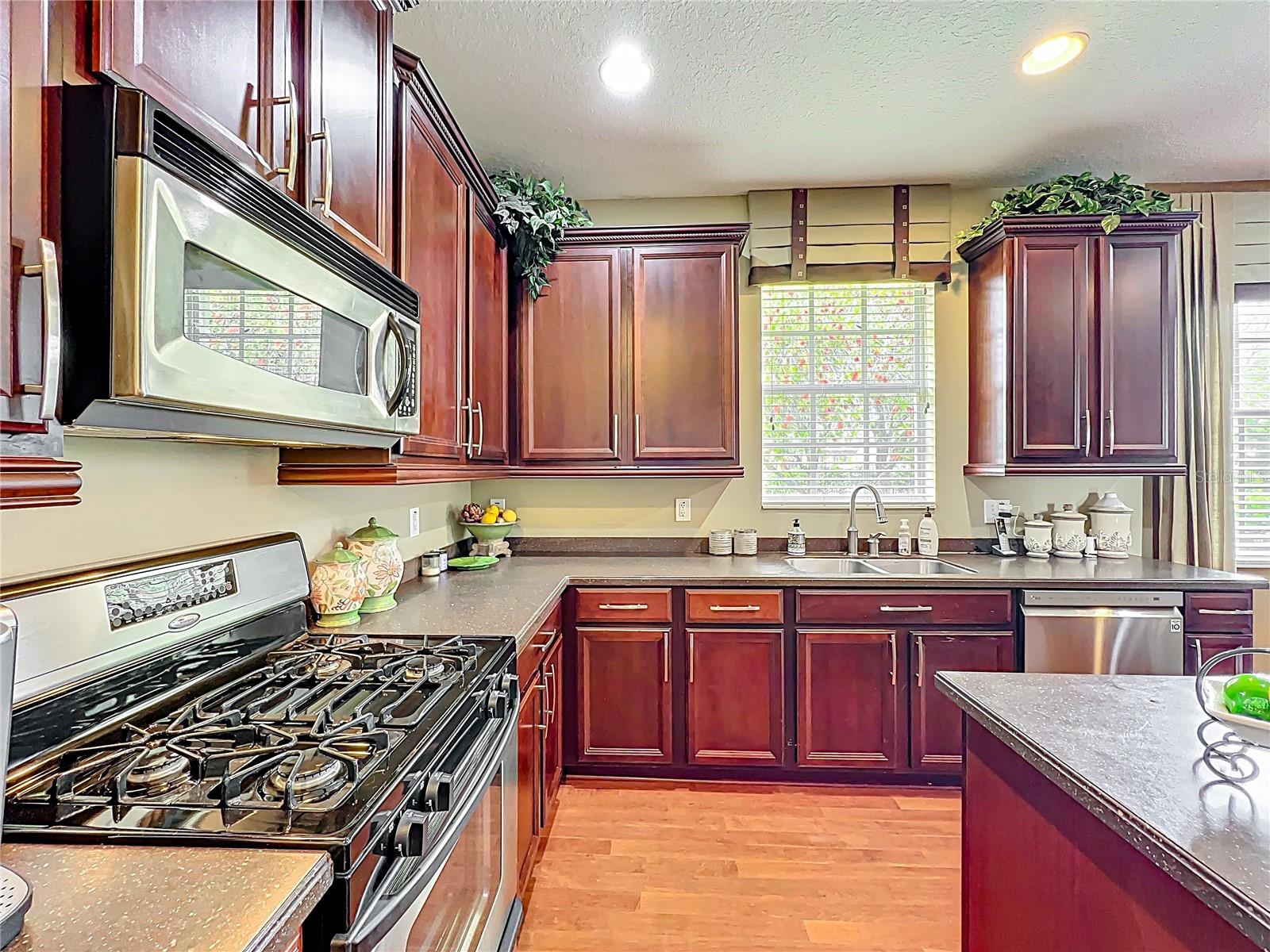 6002 CHURCHSIDE DR, LITHIA, FL, 33547