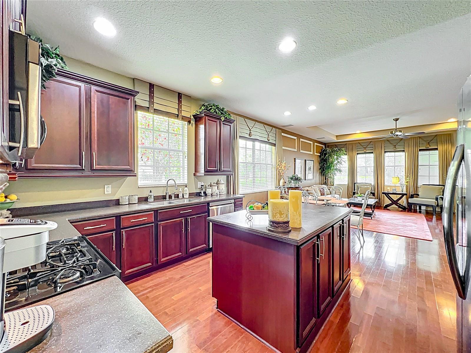 6002 CHURCHSIDE DR, LITHIA, FL, 33547