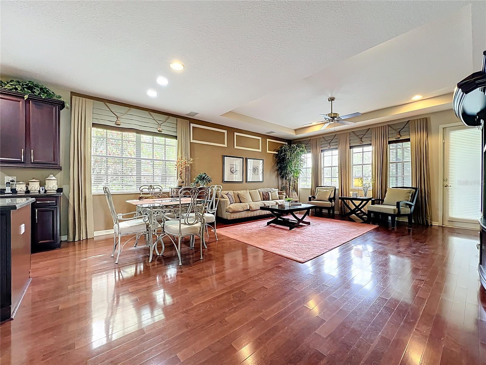 6002 CHURCHSIDE DR, LITHIA, FL, 33547