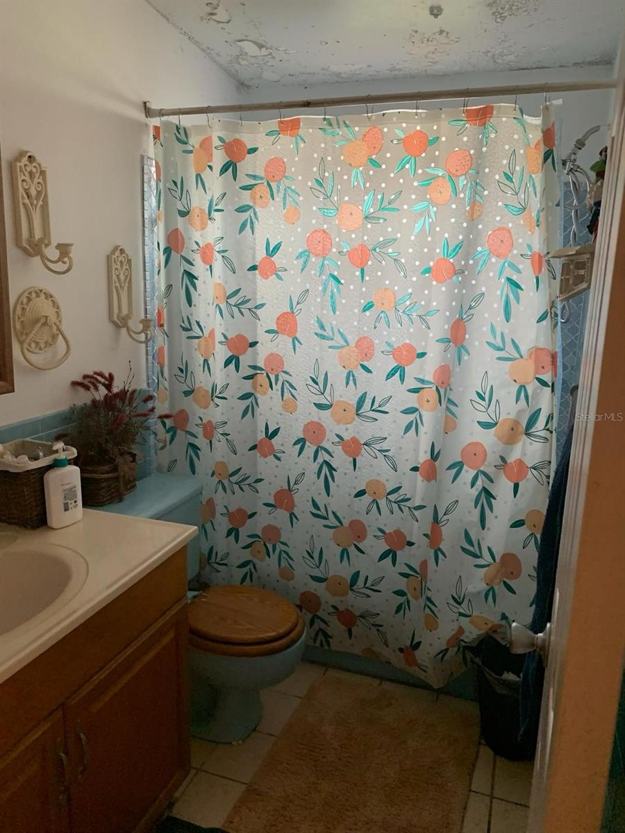 2110 OAKLEY AVE S, ST PETERSBURG, FL, 33712