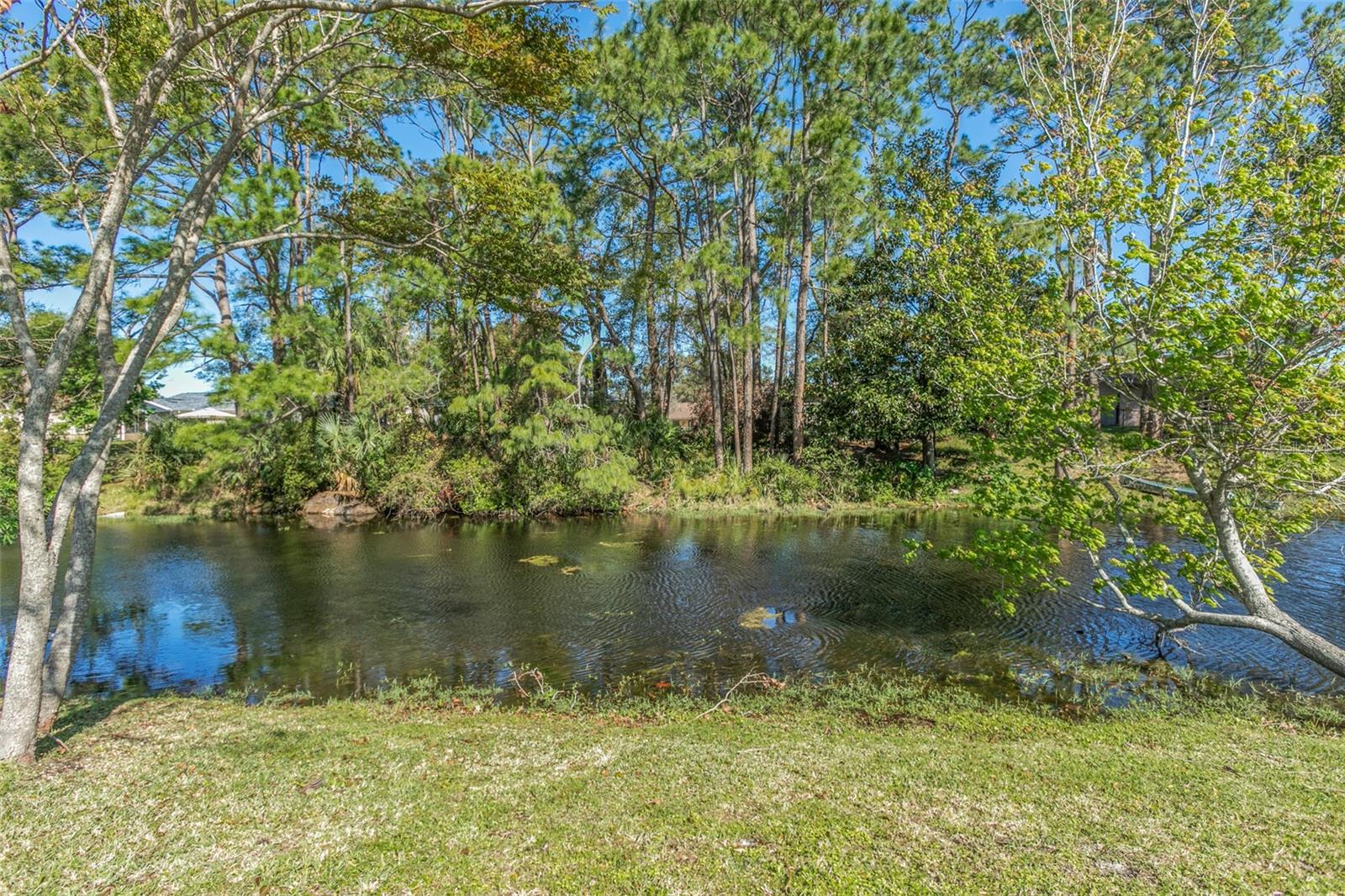59 FARRAGUT DR, PALM COAST, FL, 32137