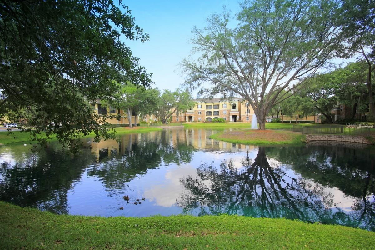 10121 COURTNEY PALMS BLVD #204, TAMPA, FL, 33619
