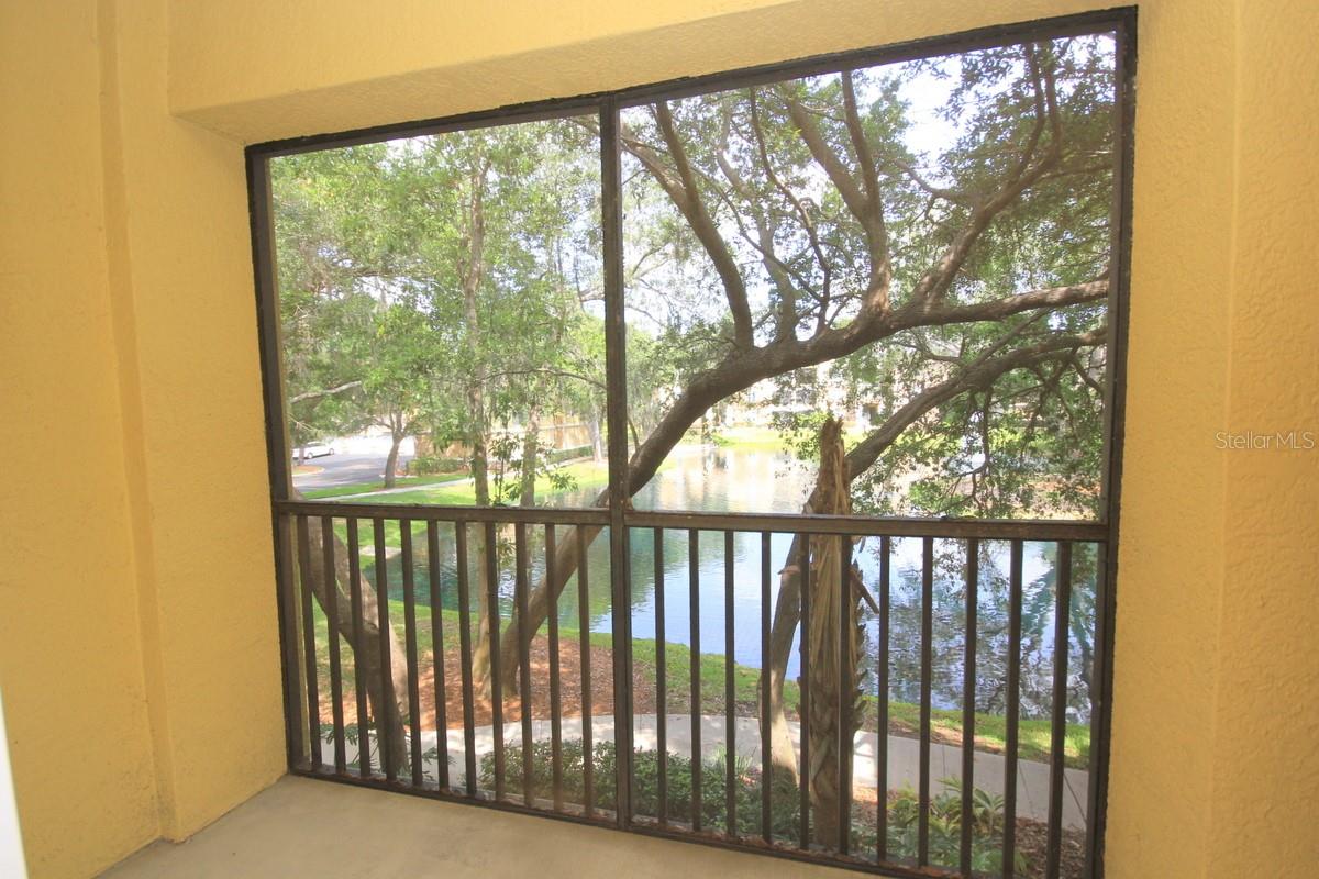 10121 COURTNEY PALMS BLVD #204, TAMPA, FL, 33619
