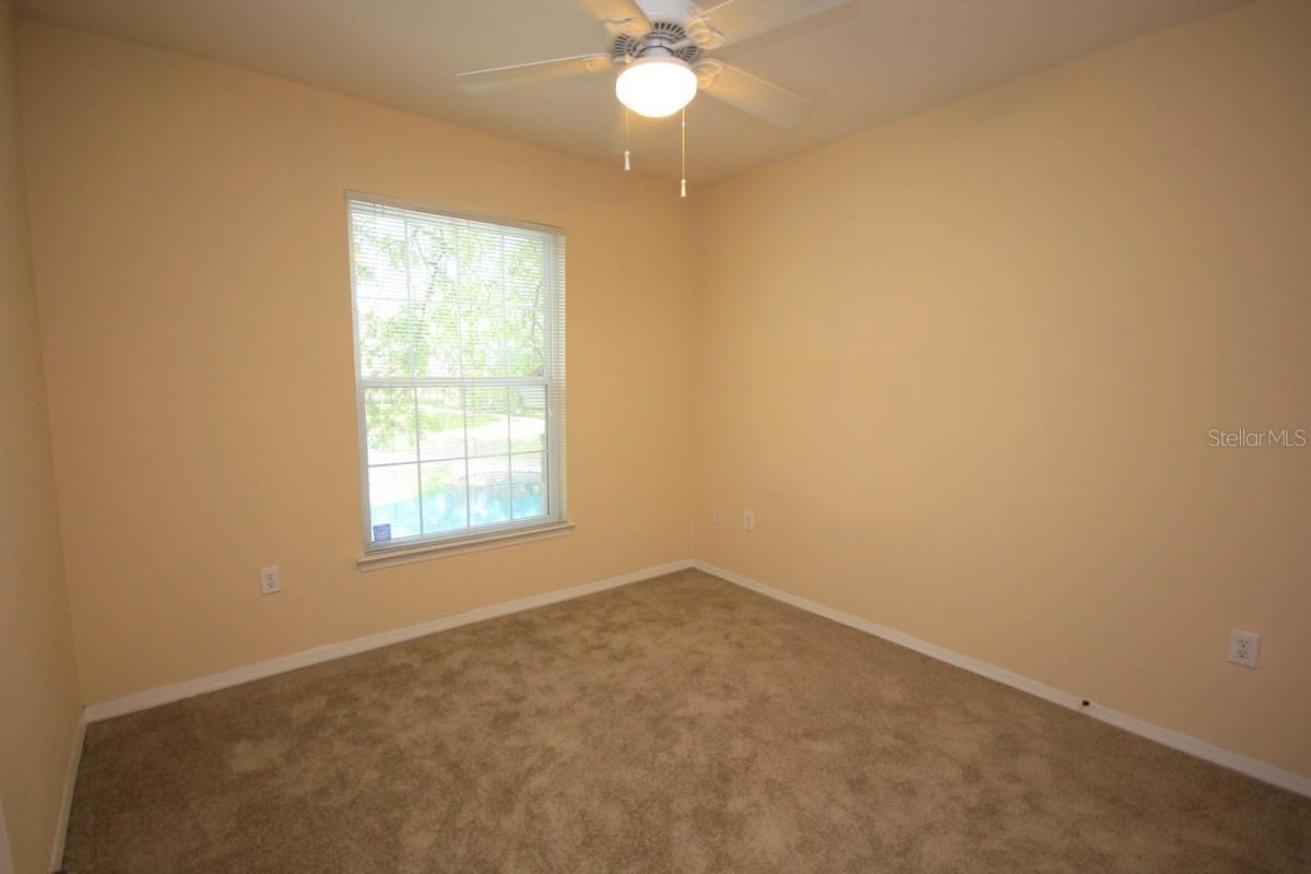 10121 COURTNEY PALMS BLVD #204, TAMPA, FL, 33619