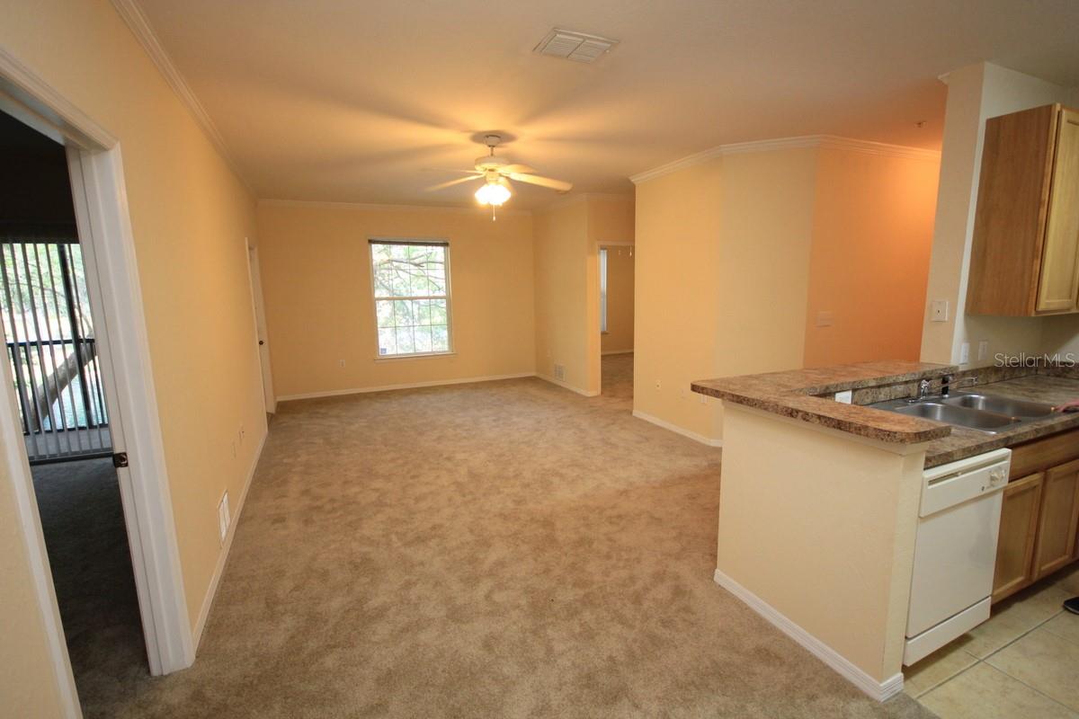 10121 COURTNEY PALMS BLVD #204, TAMPA, FL, 33619
