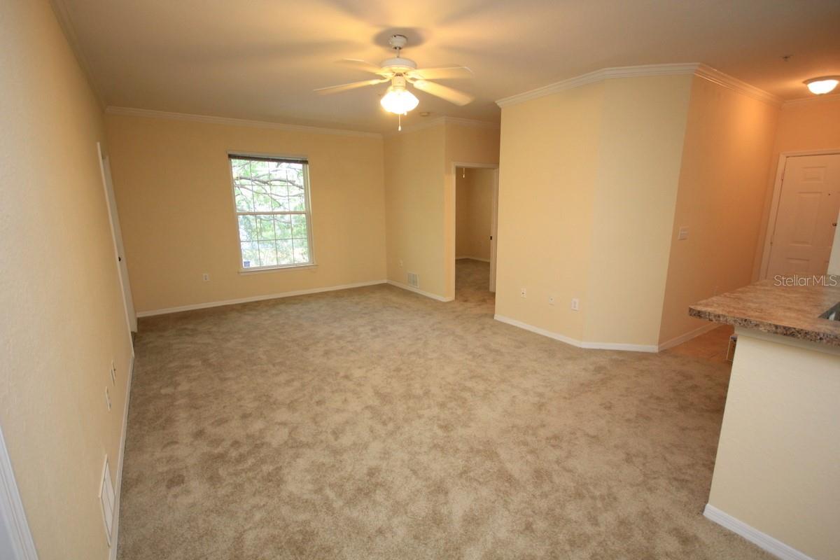10121 COURTNEY PALMS BLVD #204, TAMPA, FL, 33619