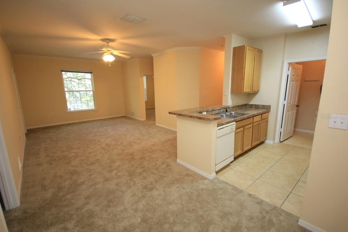 10121 COURTNEY PALMS BLVD #204, TAMPA, FL, 33619