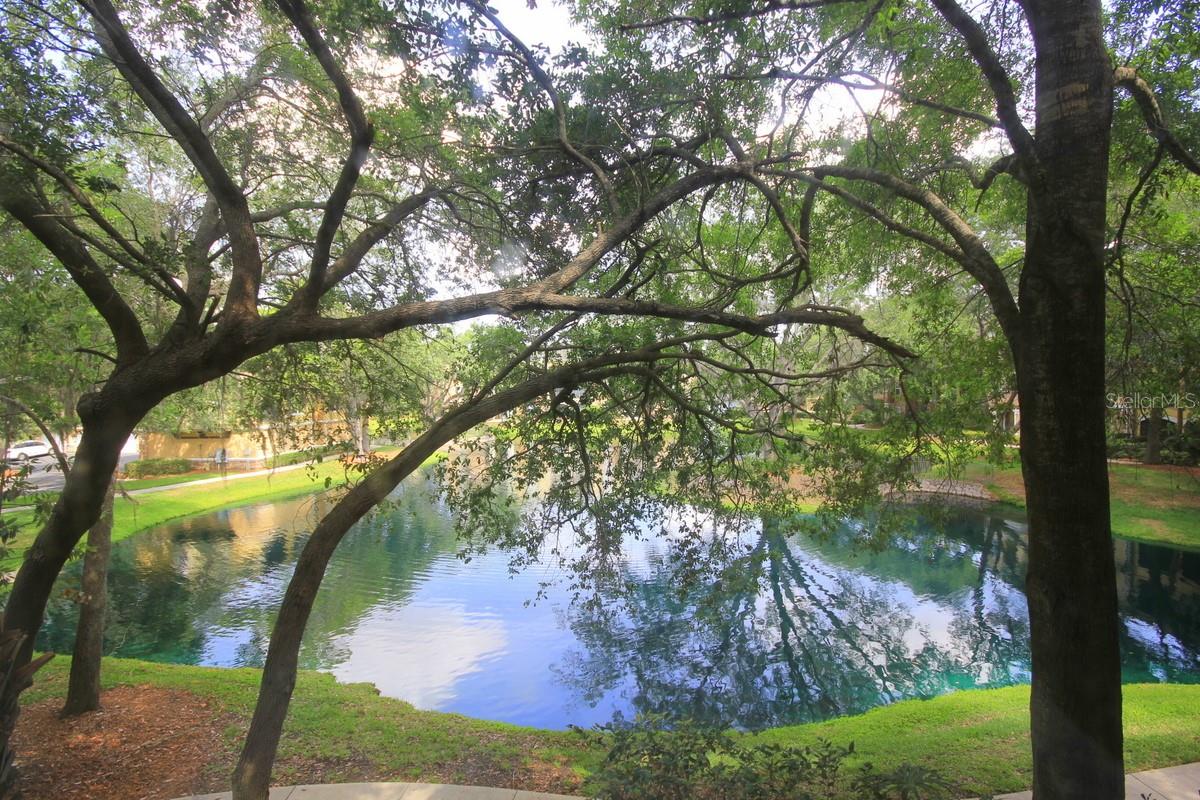 10121 COURTNEY PALMS BLVD #204, TAMPA, FL, 33619