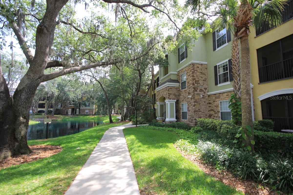 10121 COURTNEY PALMS BLVD #204, TAMPA, FL, 33619