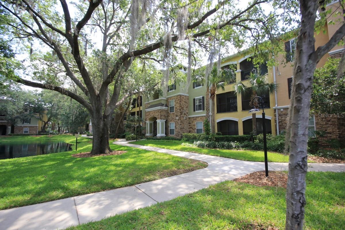 10121 COURTNEY PALMS BLVD #204, TAMPA, FL, 33619