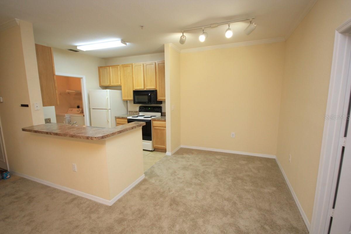 10121 COURTNEY PALMS BLVD #204, TAMPA, FL, 33619