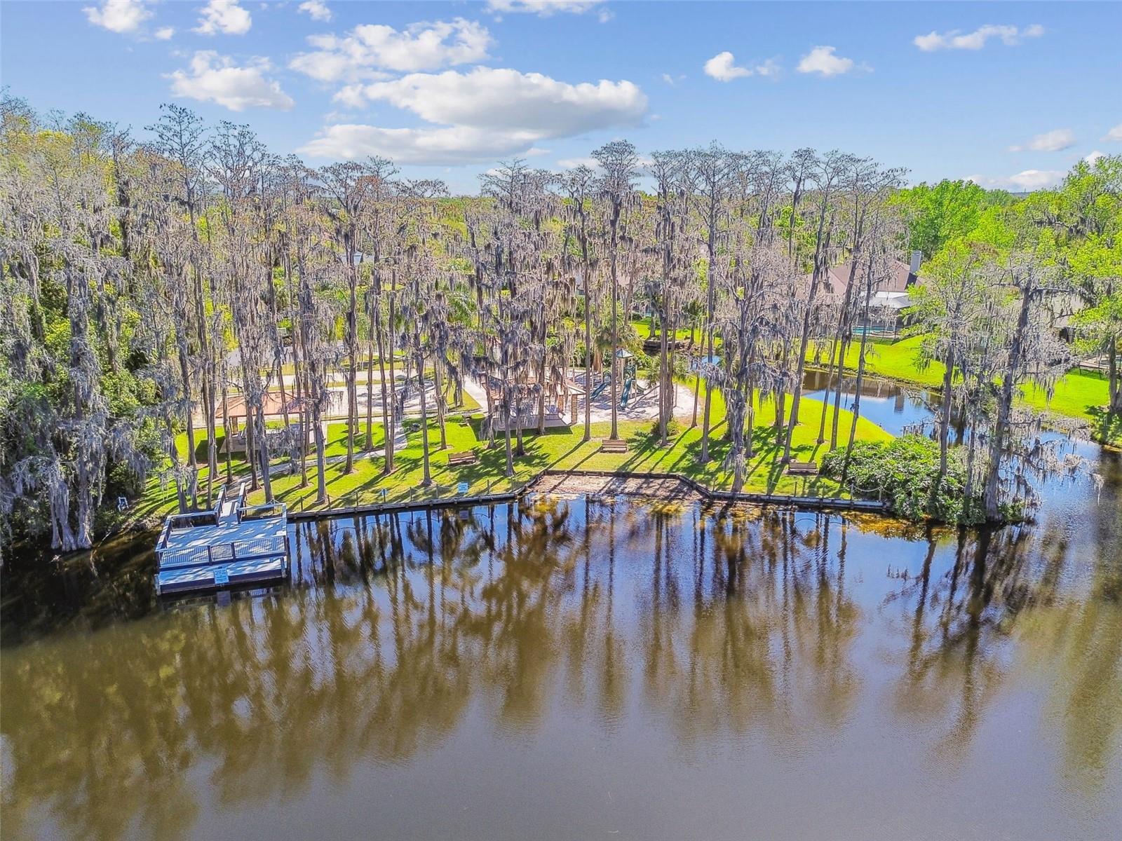 3040 OLIVIA CT, LAND O LAKES, FL, 34638