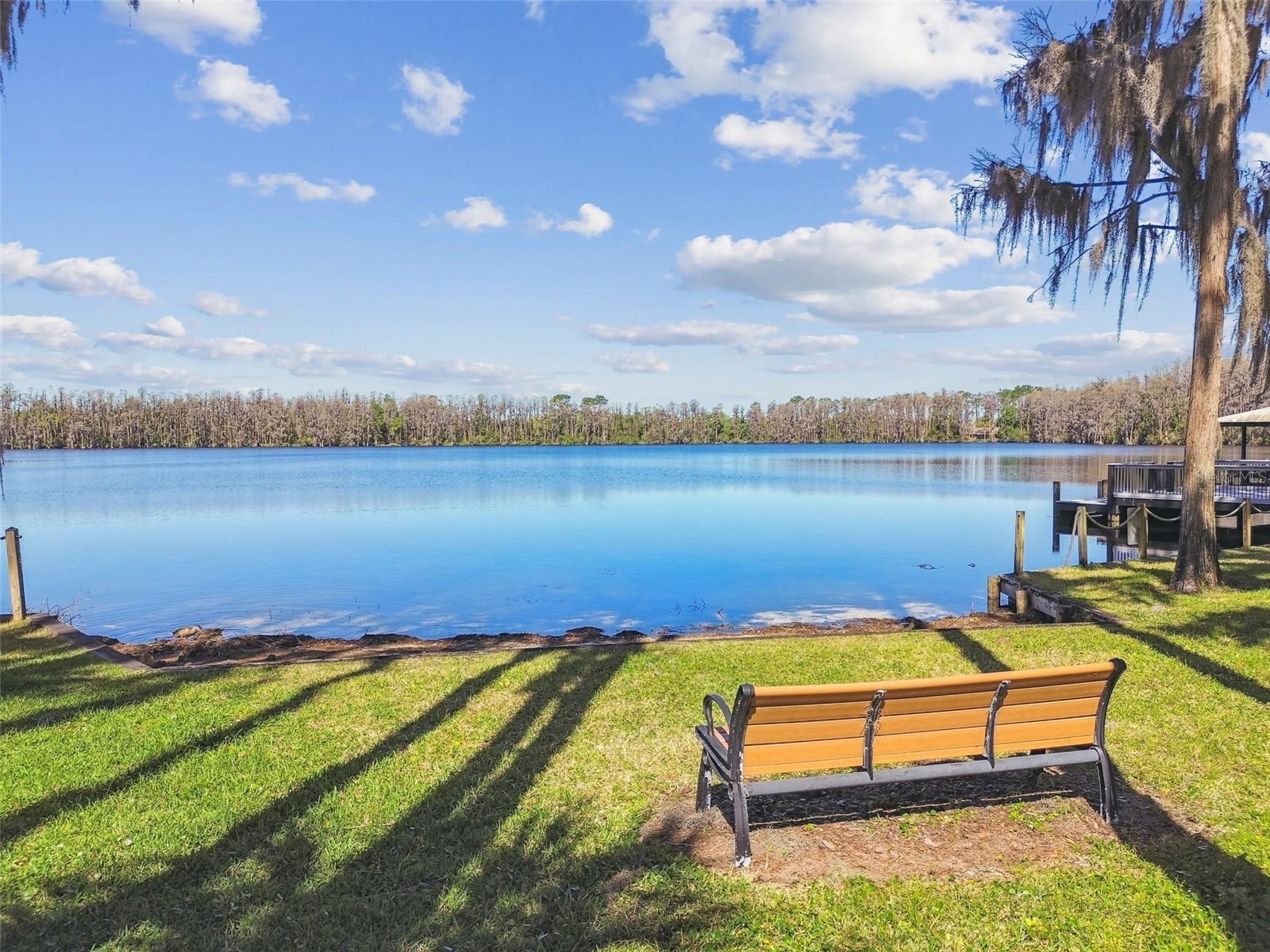 3040 OLIVIA CT, LAND O LAKES, FL, 34638