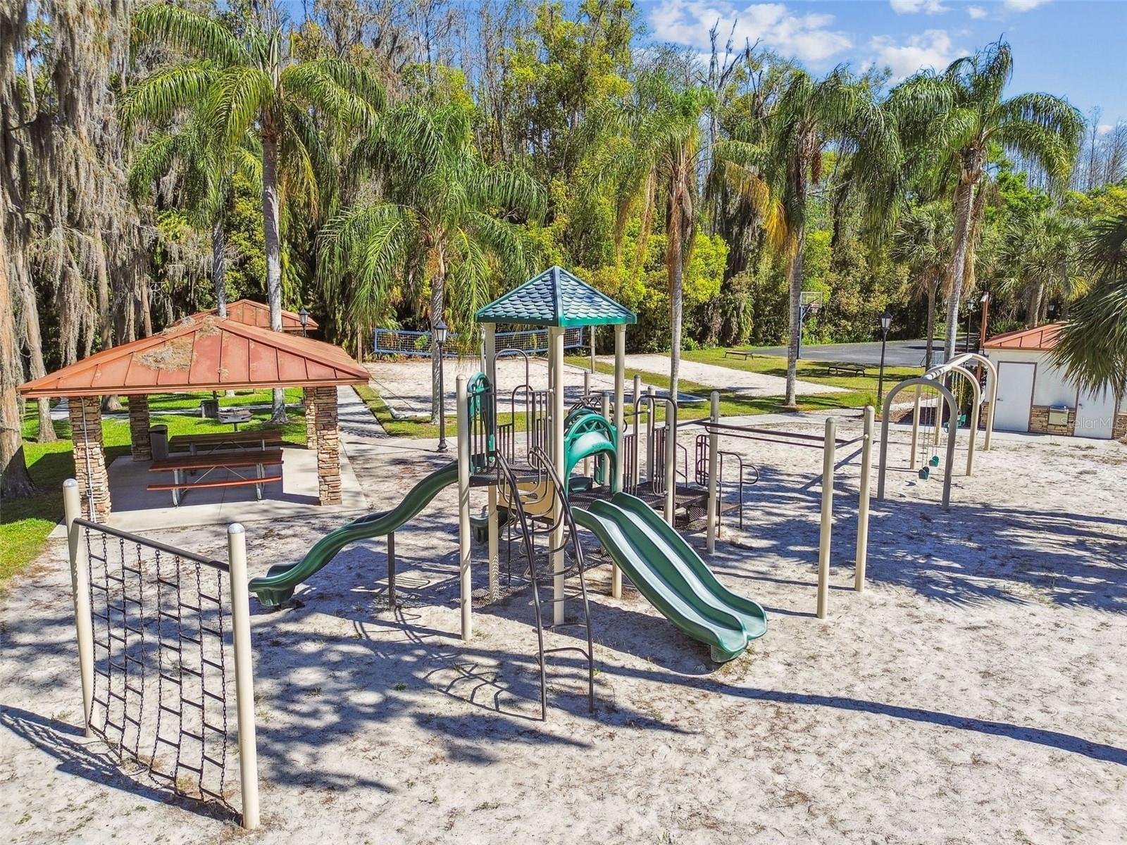 3040 OLIVIA CT, LAND O LAKES, FL, 34638