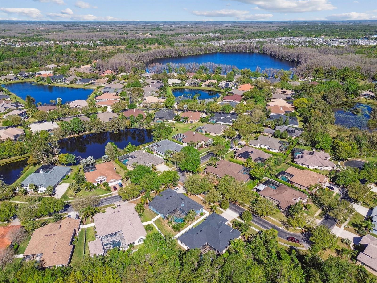 3040 OLIVIA CT, LAND O LAKES, FL, 34638
