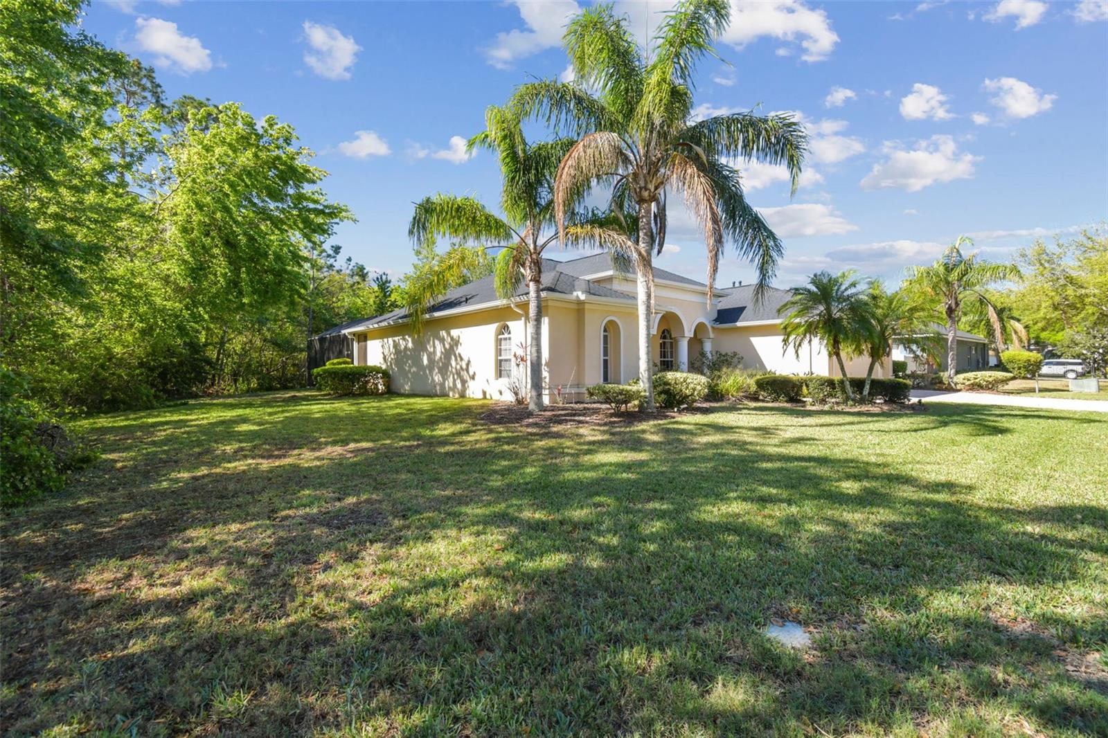 3040 OLIVIA CT, LAND O LAKES, FL, 34638