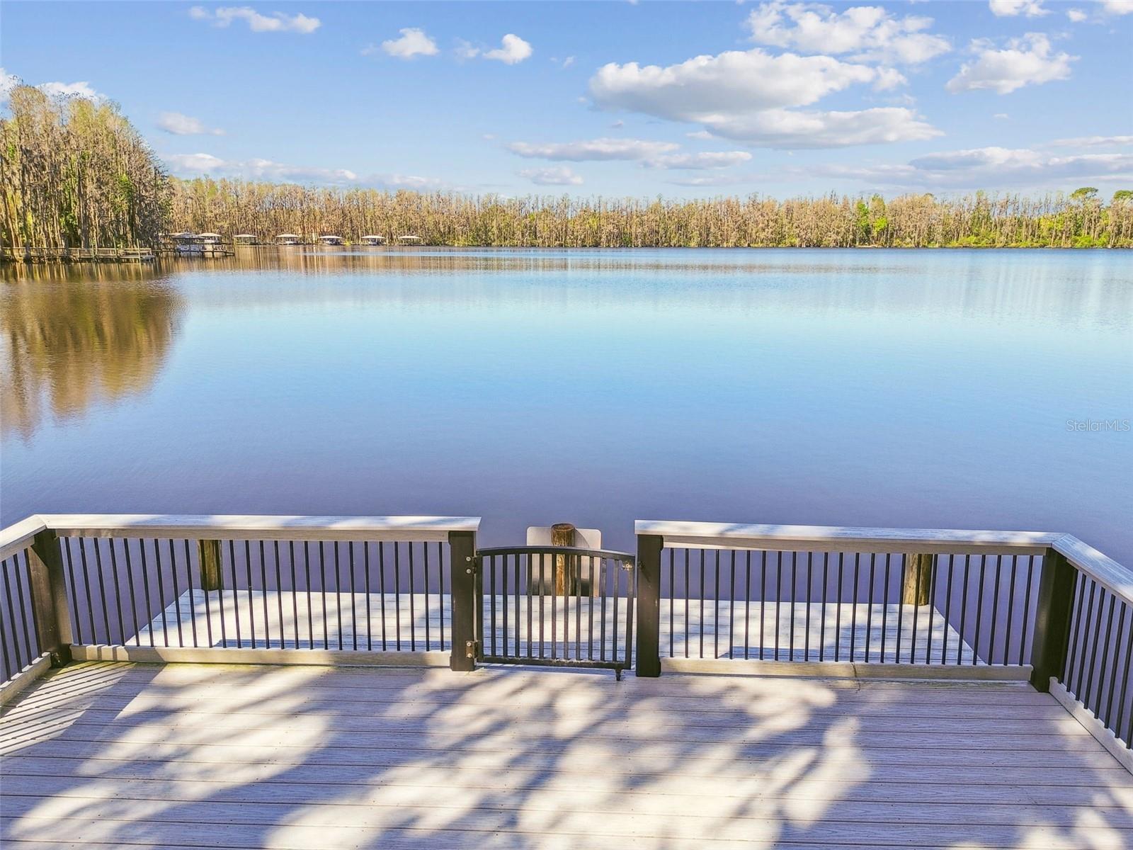 3040 OLIVIA CT, LAND O LAKES, FL, 34638