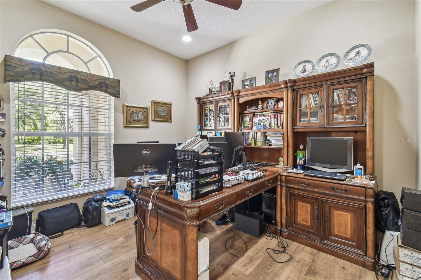3040 OLIVIA CT, LAND O LAKES, FL, 34638