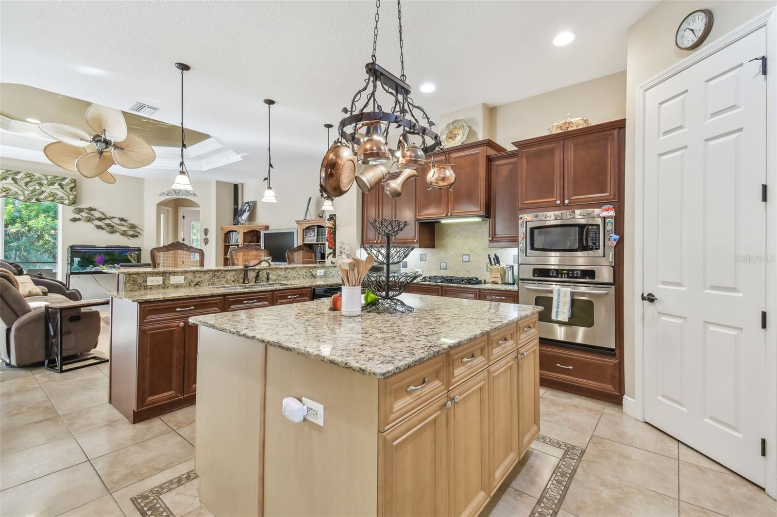 3040 OLIVIA CT, LAND O LAKES, FL, 34638