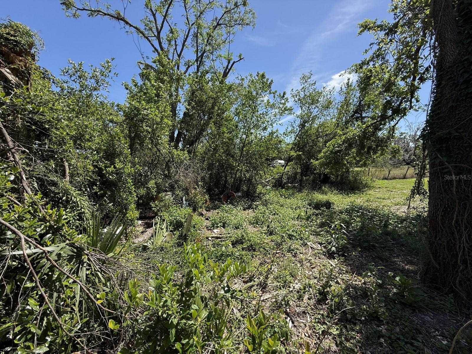 9526 EASTFIELD RD, THONOTOSASSA, FL, 33592