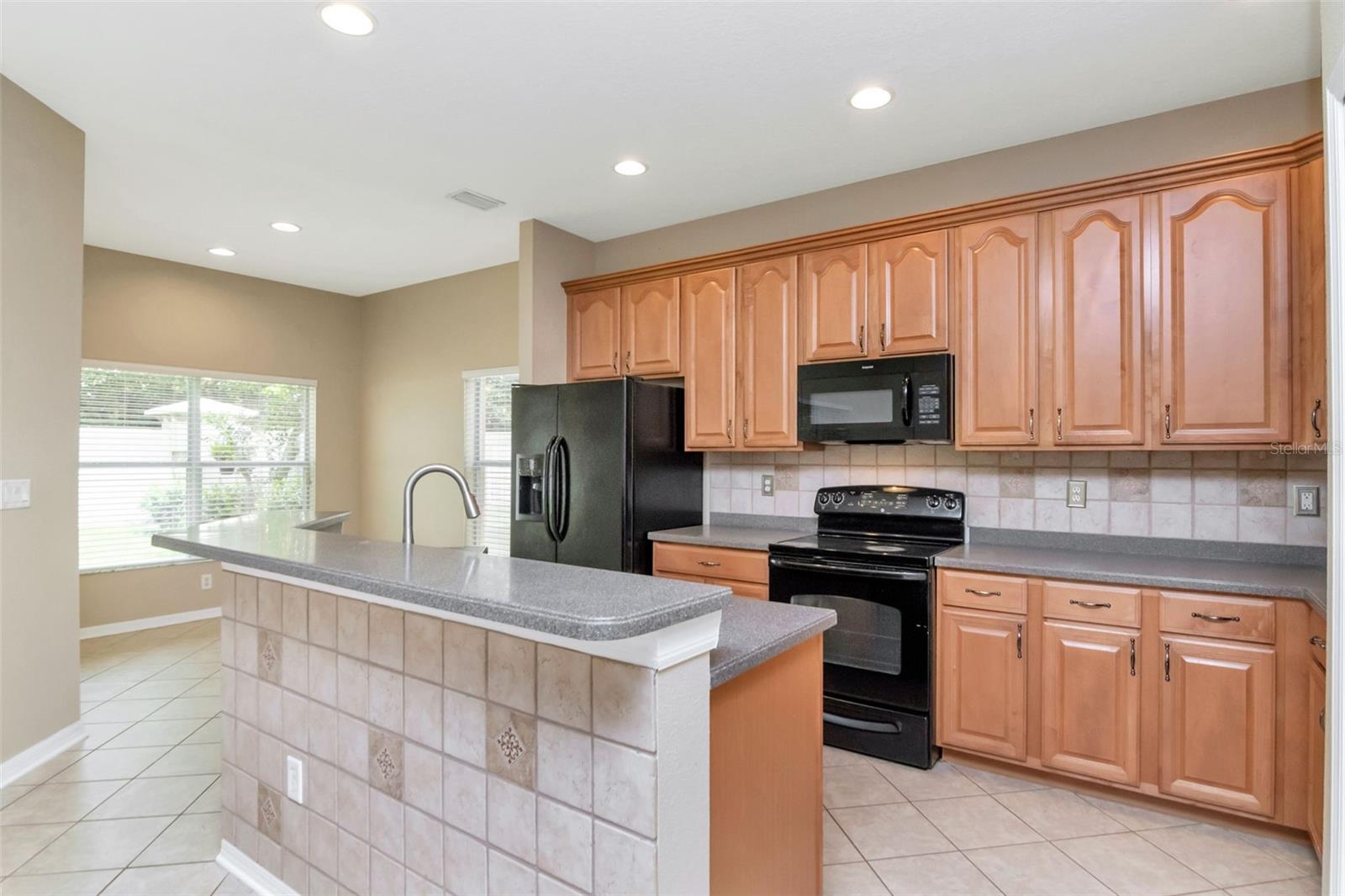 9613 JASMINE BROOK CRK, LAND O LAKES, FL, 34638