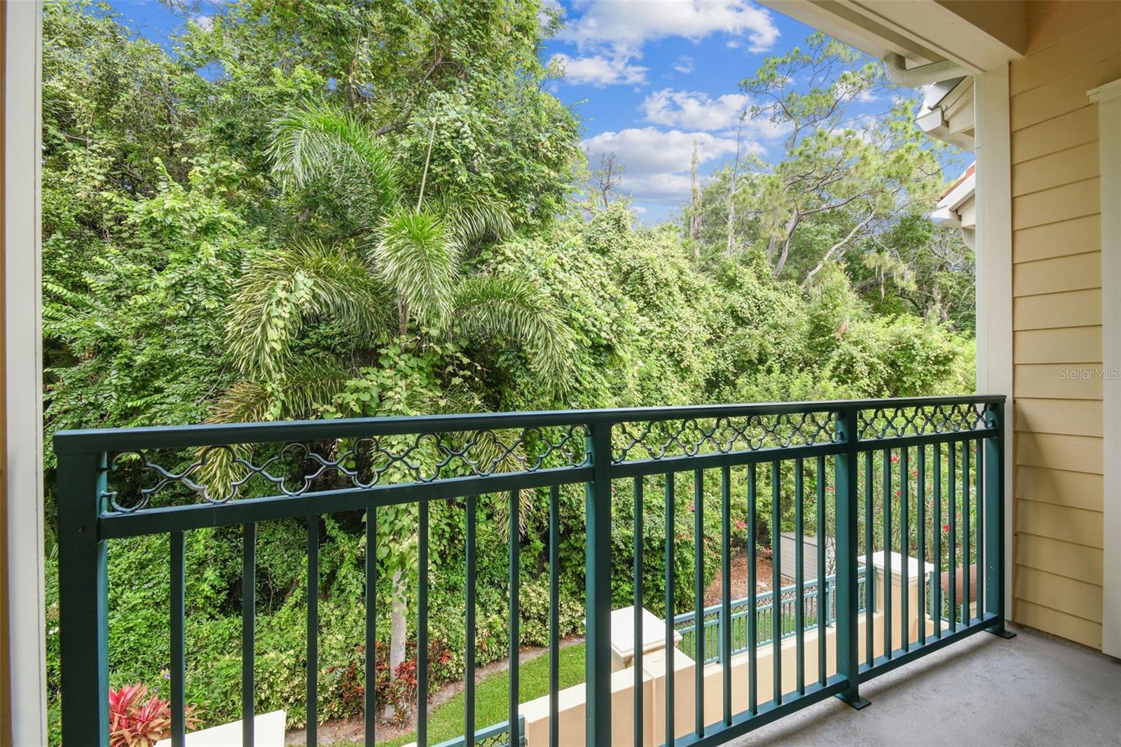 2676 TANGLEWOOD TRL, PALM HARBOR, FL, 34685