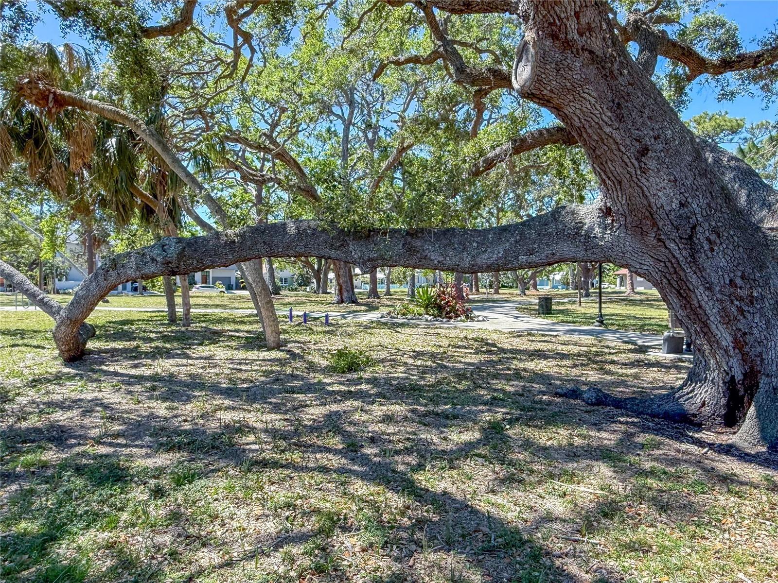 919 N OSPREY AVE, SARASOTA, FL, 34236