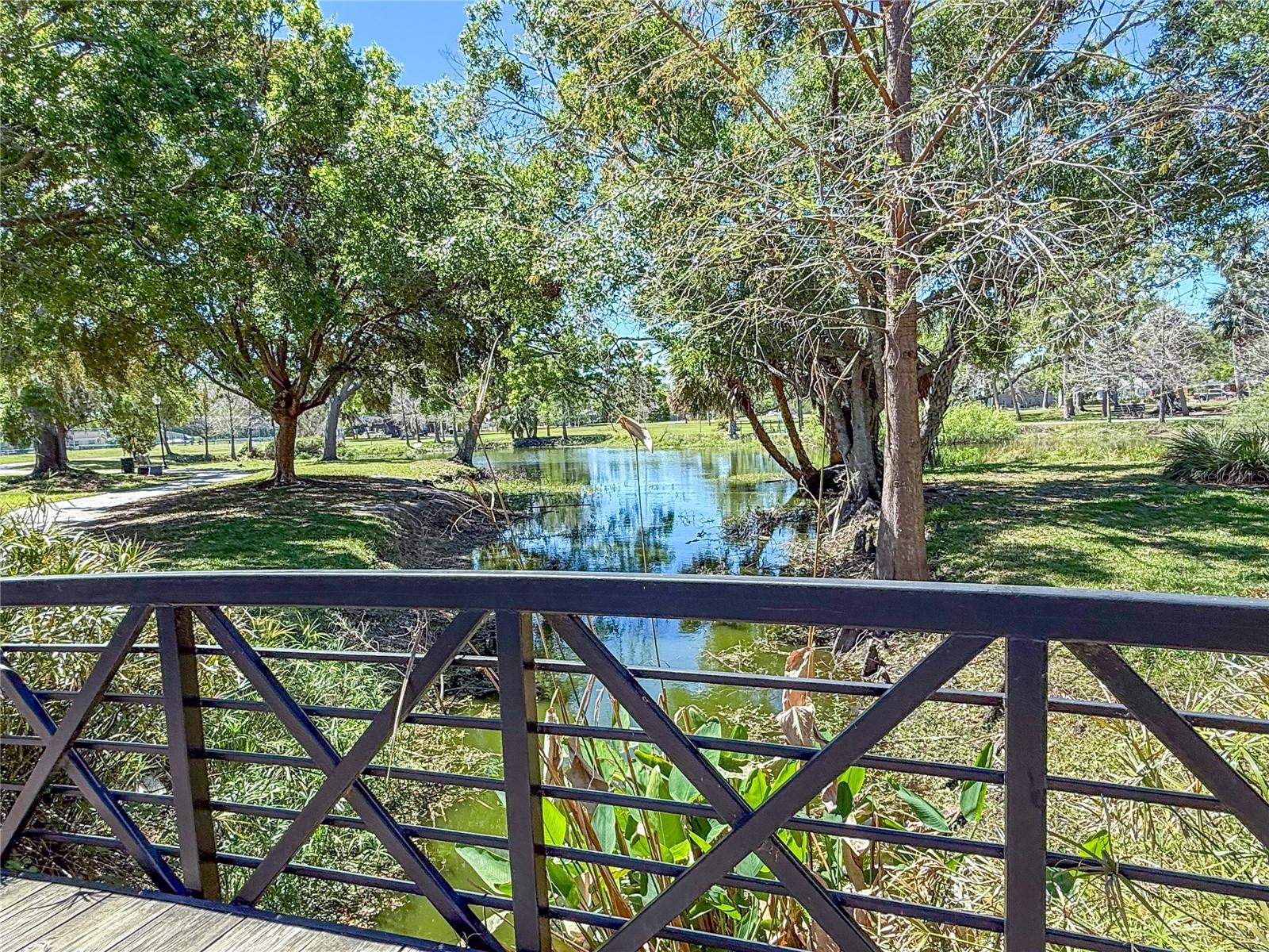 919 N OSPREY AVE, SARASOTA, FL, 34236