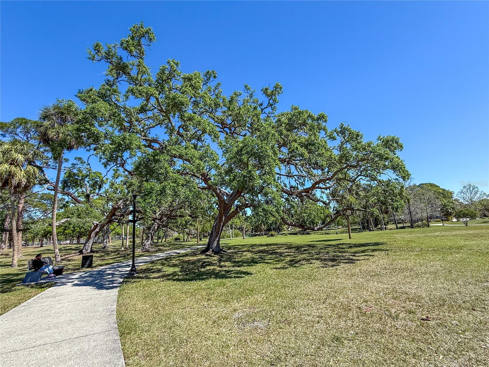 919 N OSPREY AVE, SARASOTA, FL, 34236