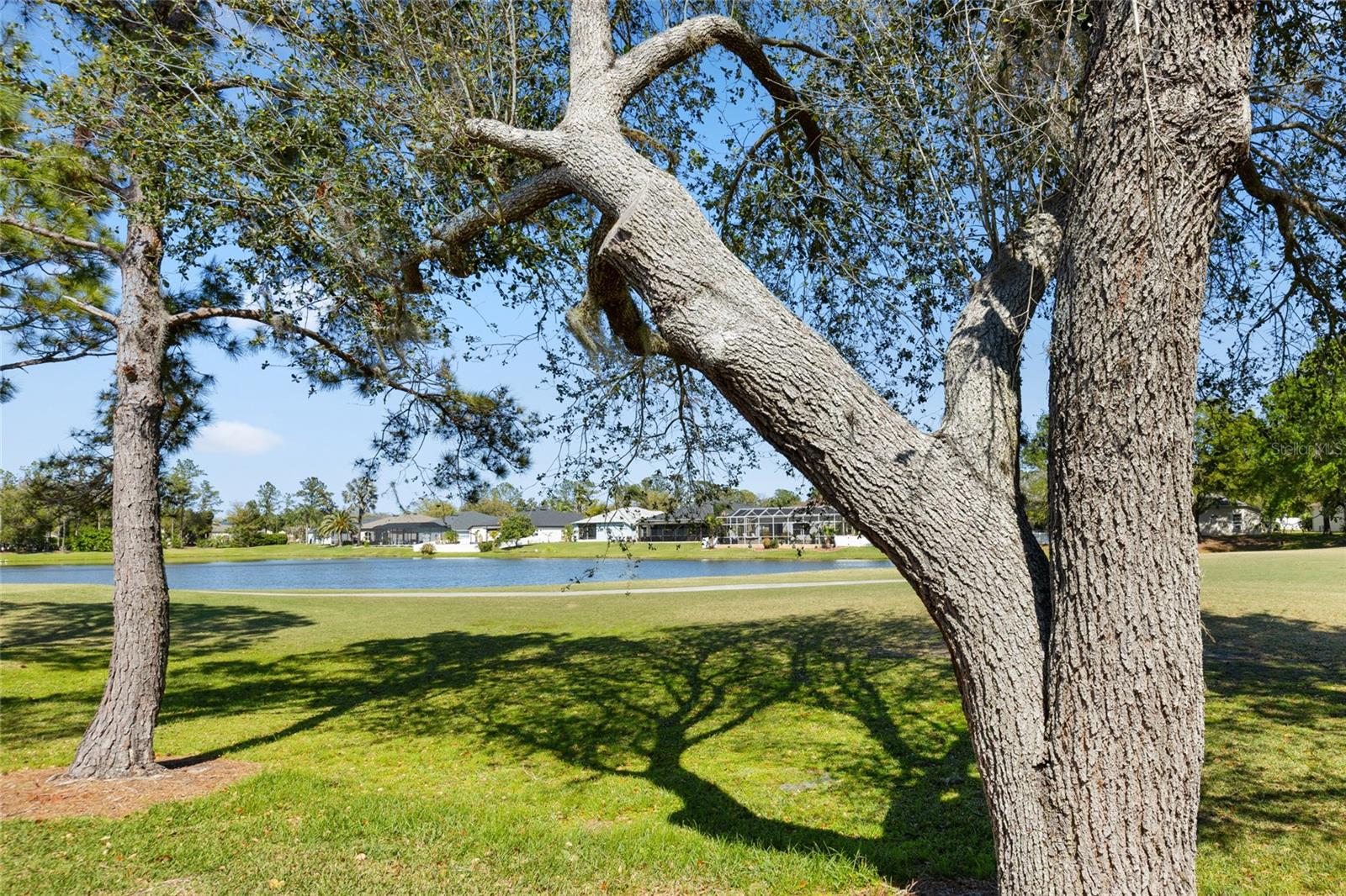 5105 GATO DEL SOL CIR, WESLEY CHAPEL, FL, 33544