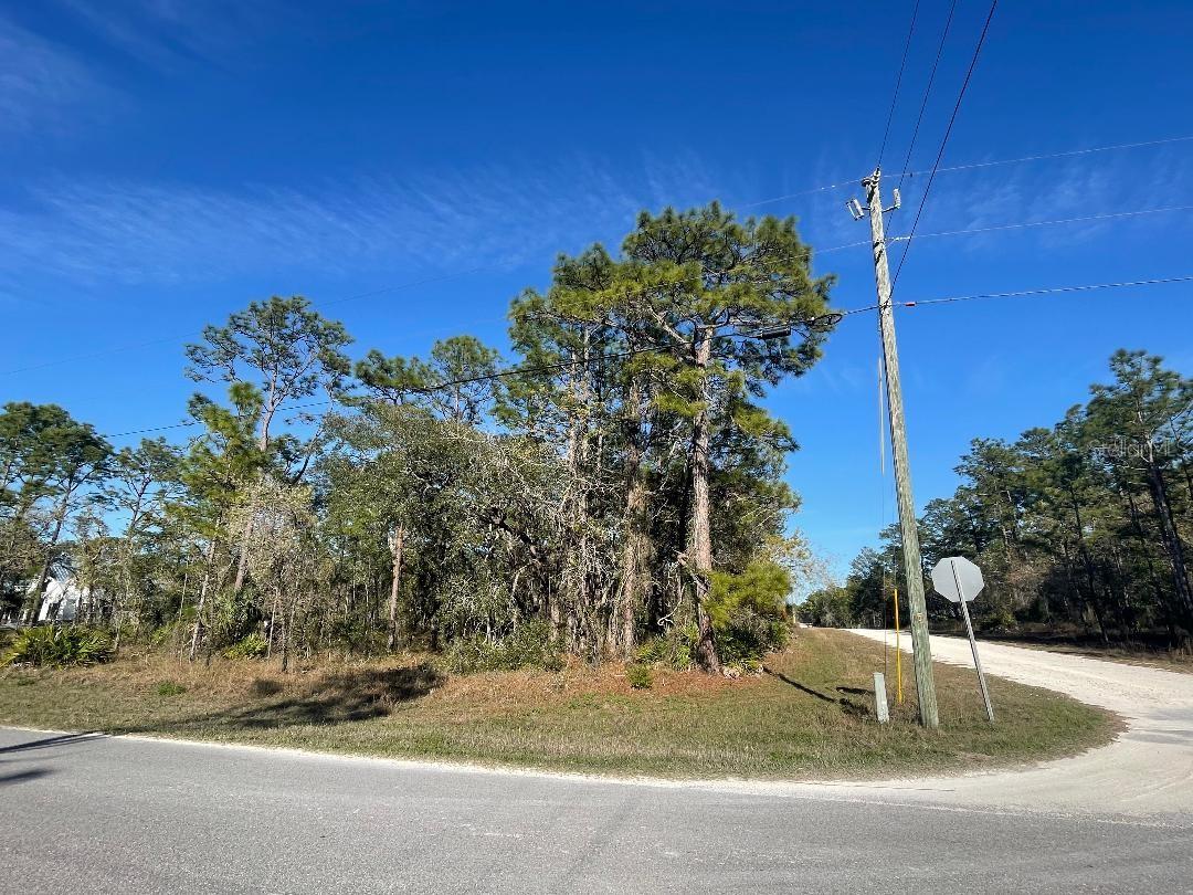 16112 MOUNT SPARROW RD, WEEKI WACHEE, FL, 34614