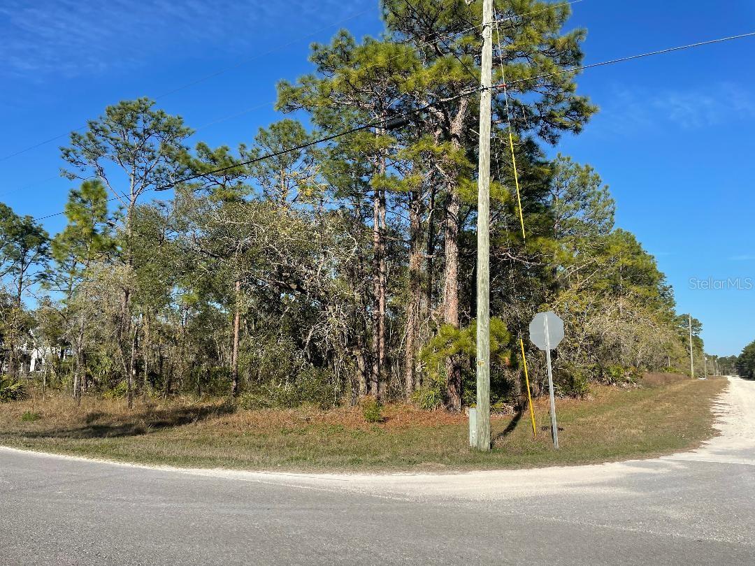 16112 MOUNT SPARROW RD, WEEKI WACHEE, FL, 34614