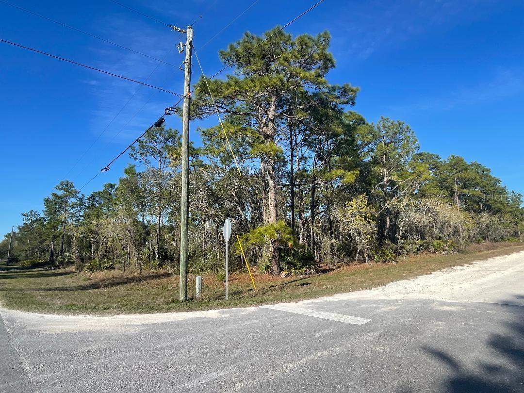 16112 MOUNT SPARROW RD, WEEKI WACHEE, FL, 34614