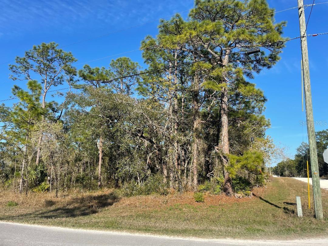 16112 MOUNT SPARROW RD, WEEKI WACHEE, FL, 34614