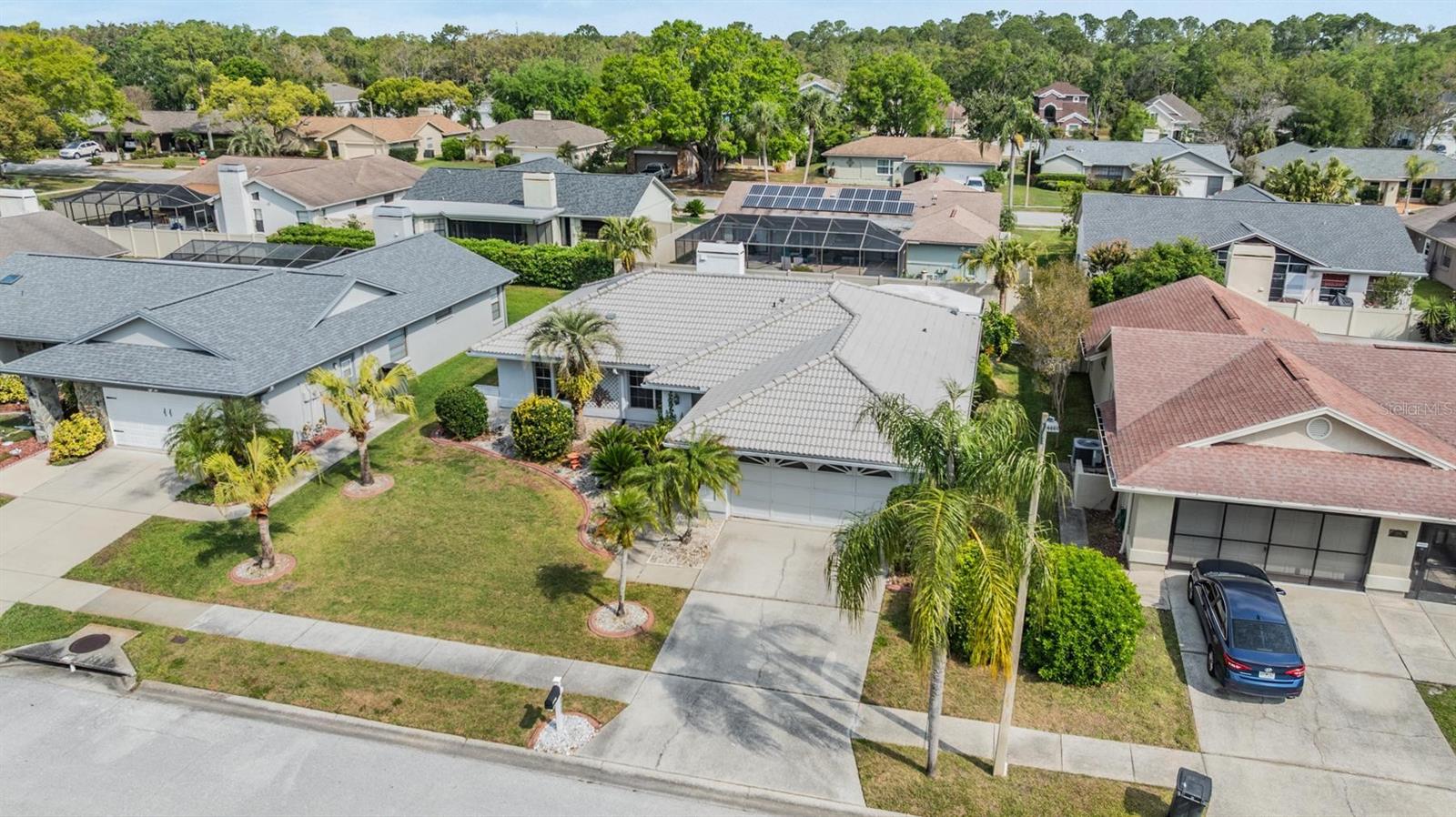 9909 LOPEZ DR, NEW PORT RICHEY, FL, 34655