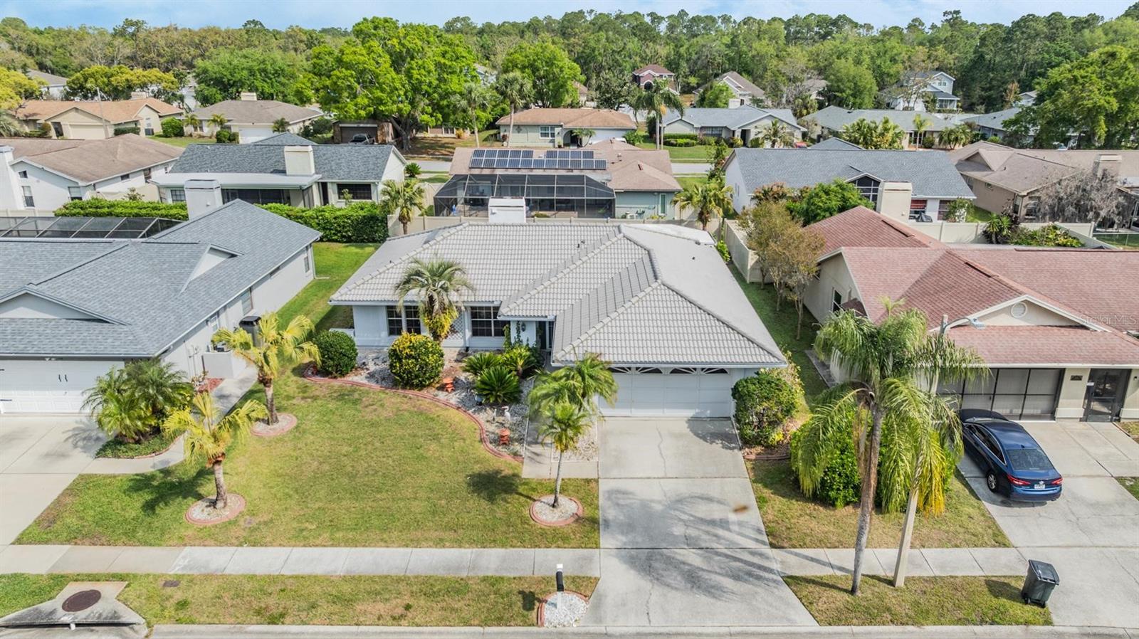 9909 LOPEZ DR, NEW PORT RICHEY, FL, 34655