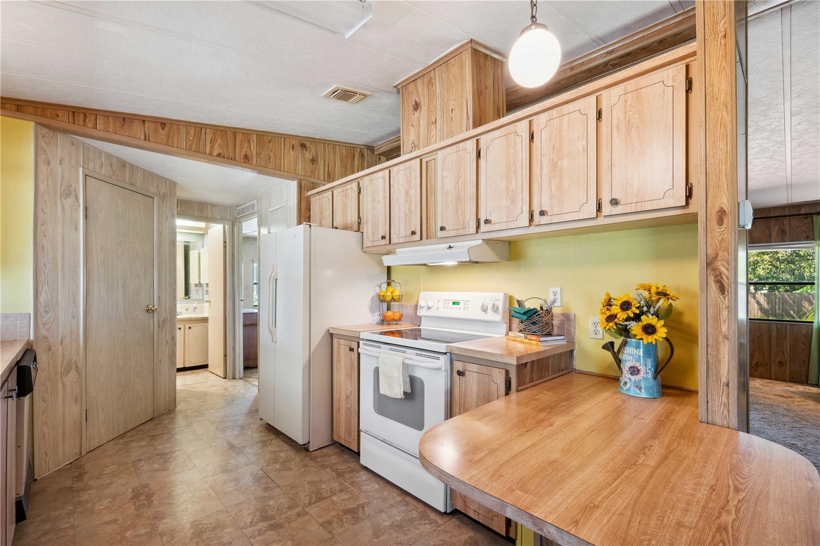 3946 ERNEST DR, WESLEY CHAPEL, FL, 33543