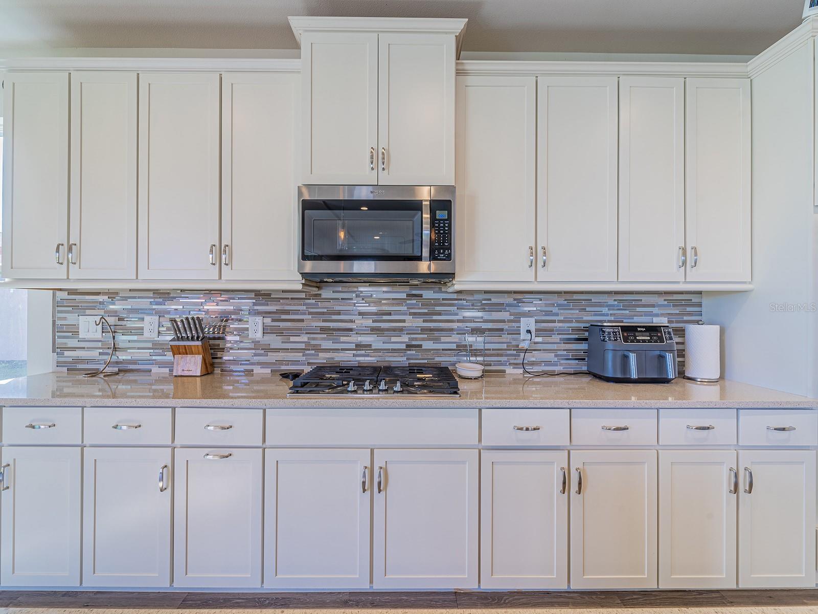 28923 LUCERO LN, WESLEY CHAPEL, FL, 33543