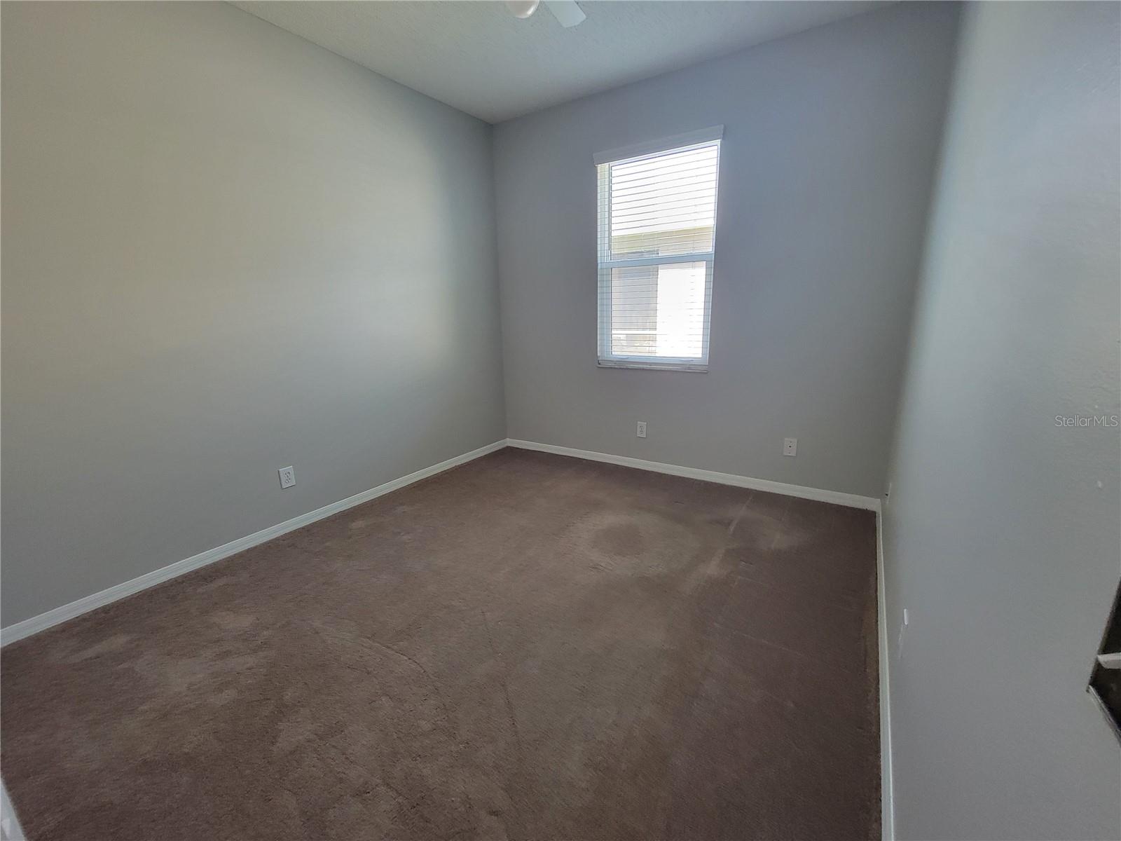 1803 ROSEROOT CT, TRINITY, FL, 34655
