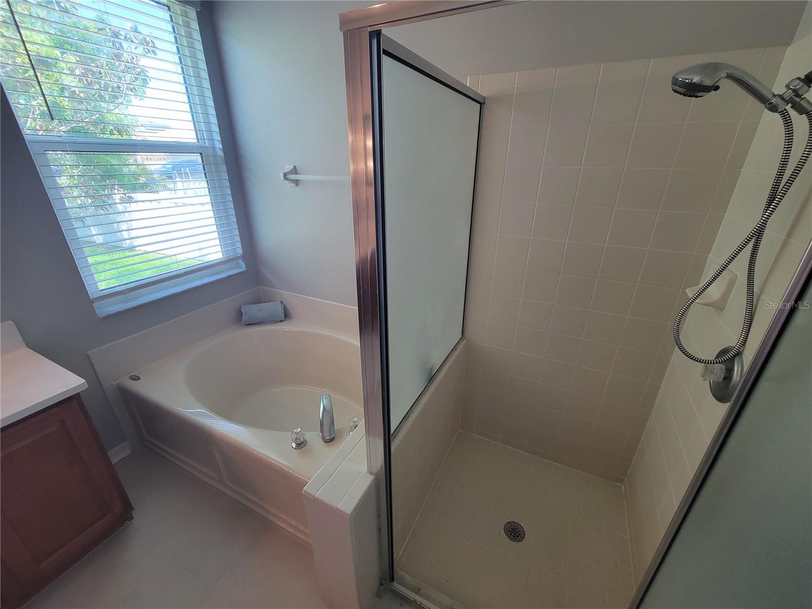 1803 ROSEROOT CT, TRINITY, FL, 34655