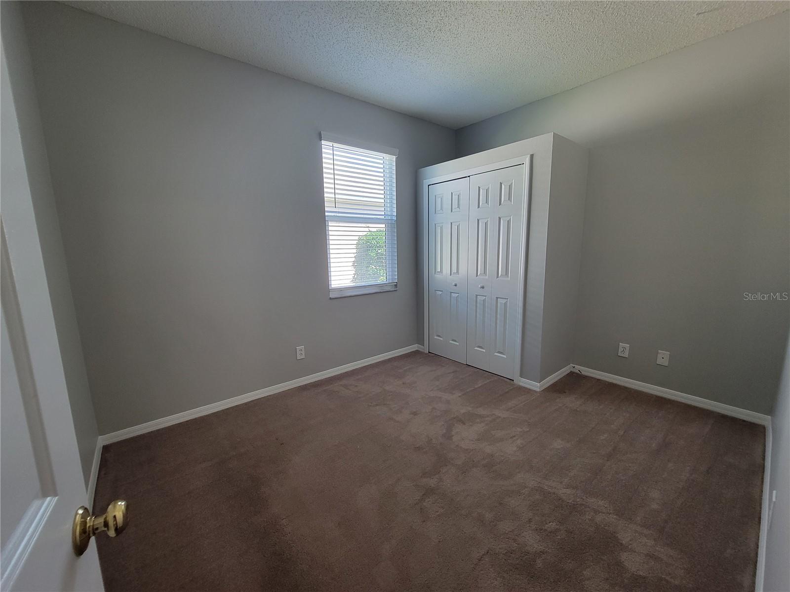 1803 ROSEROOT CT, TRINITY, FL, 34655