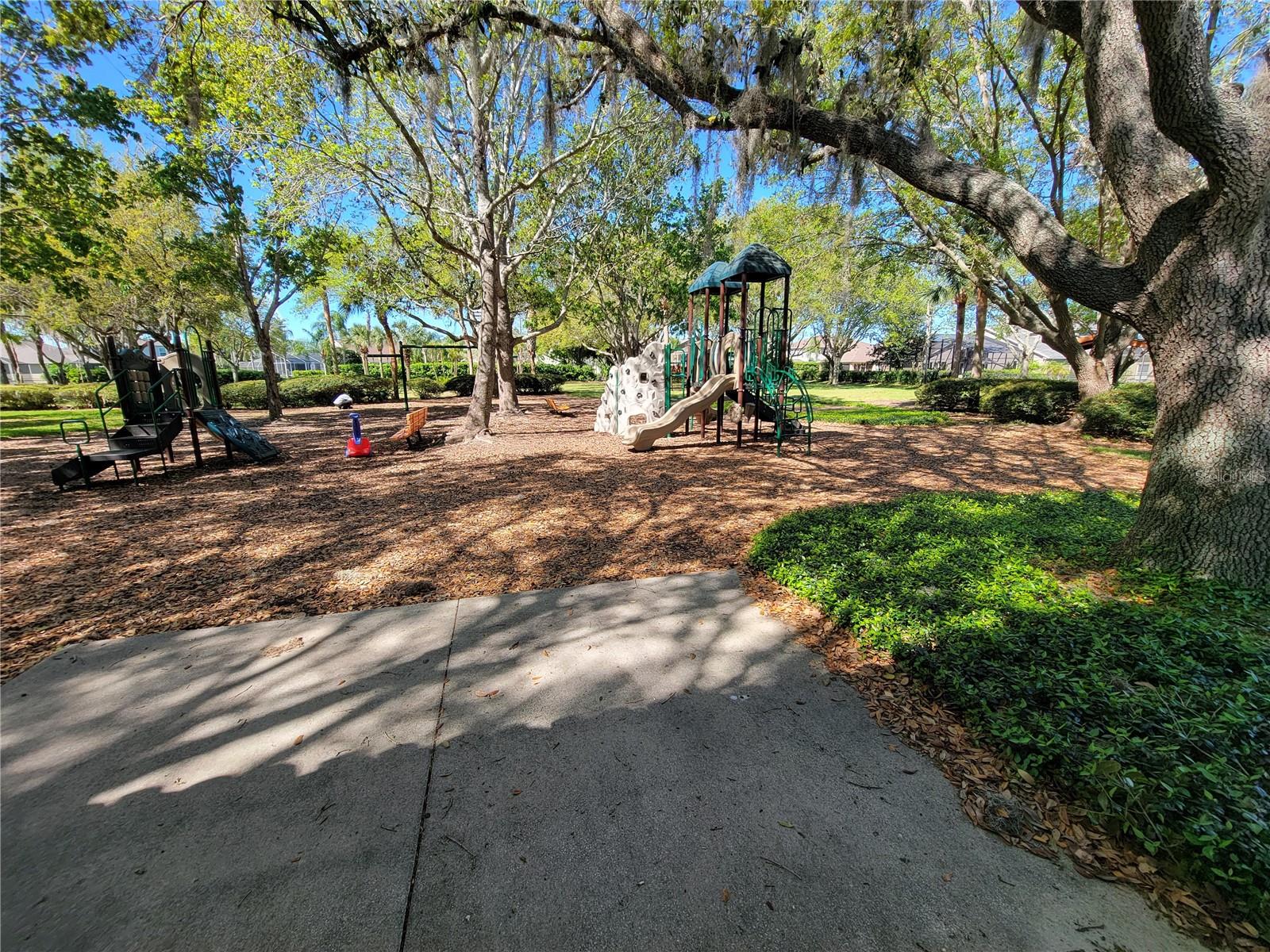 1803 ROSEROOT CT, TRINITY, FL, 34655