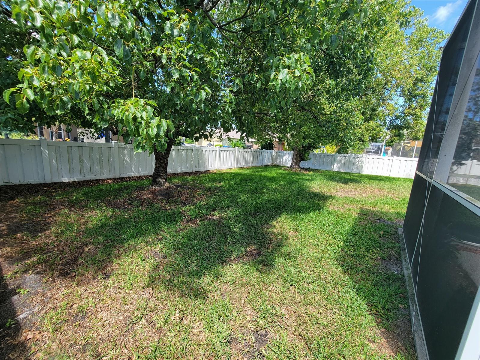 1803 ROSEROOT CT, TRINITY, FL, 34655
