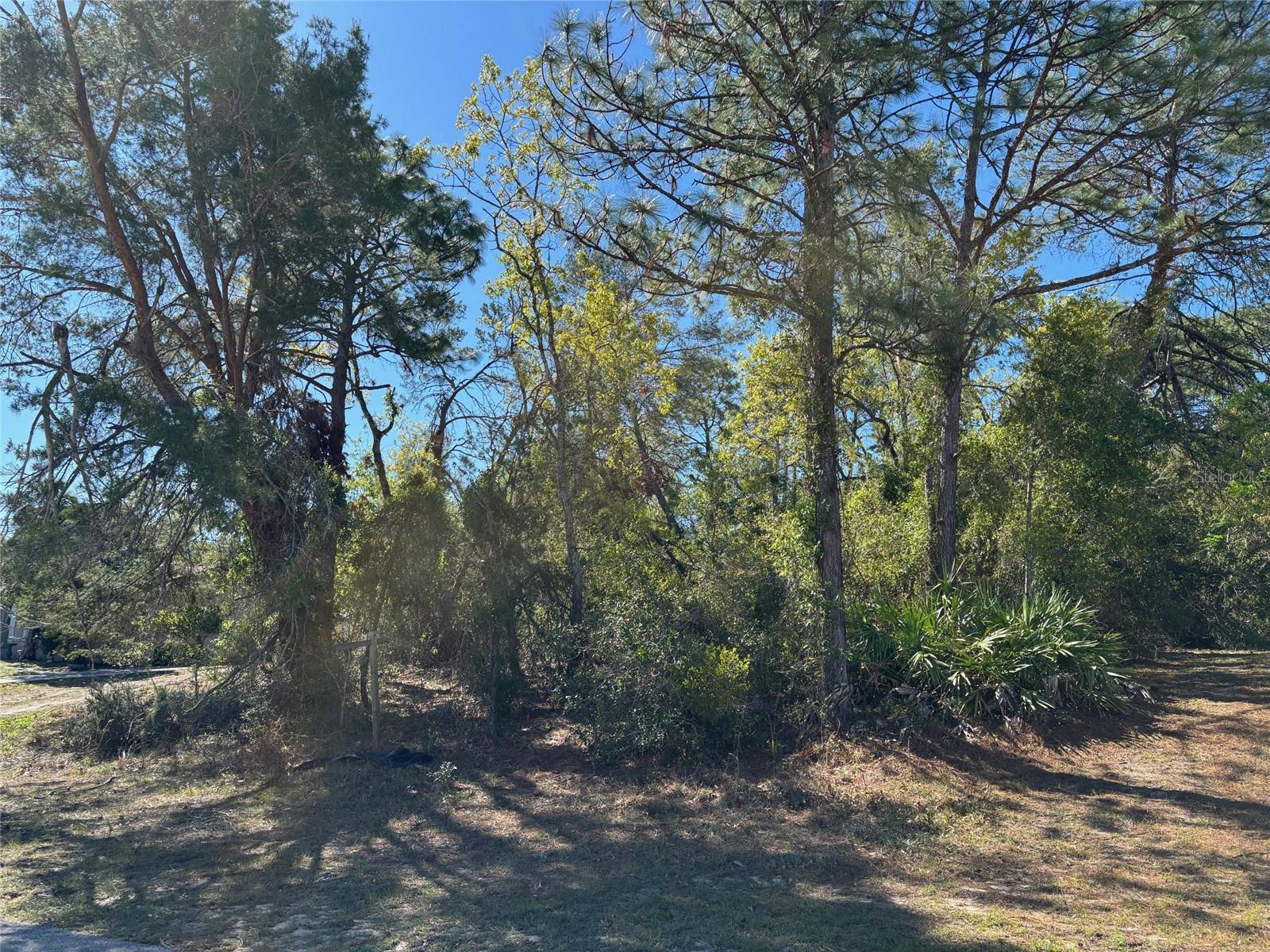 Lot 16 PENDLETON ST, SPRING HILL, FL, 34609