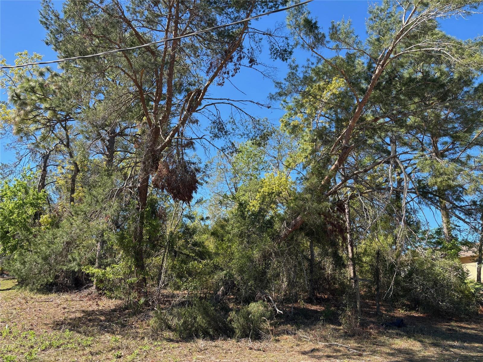 Lot 16 PENDLETON ST, SPRING HILL, FL, 34609