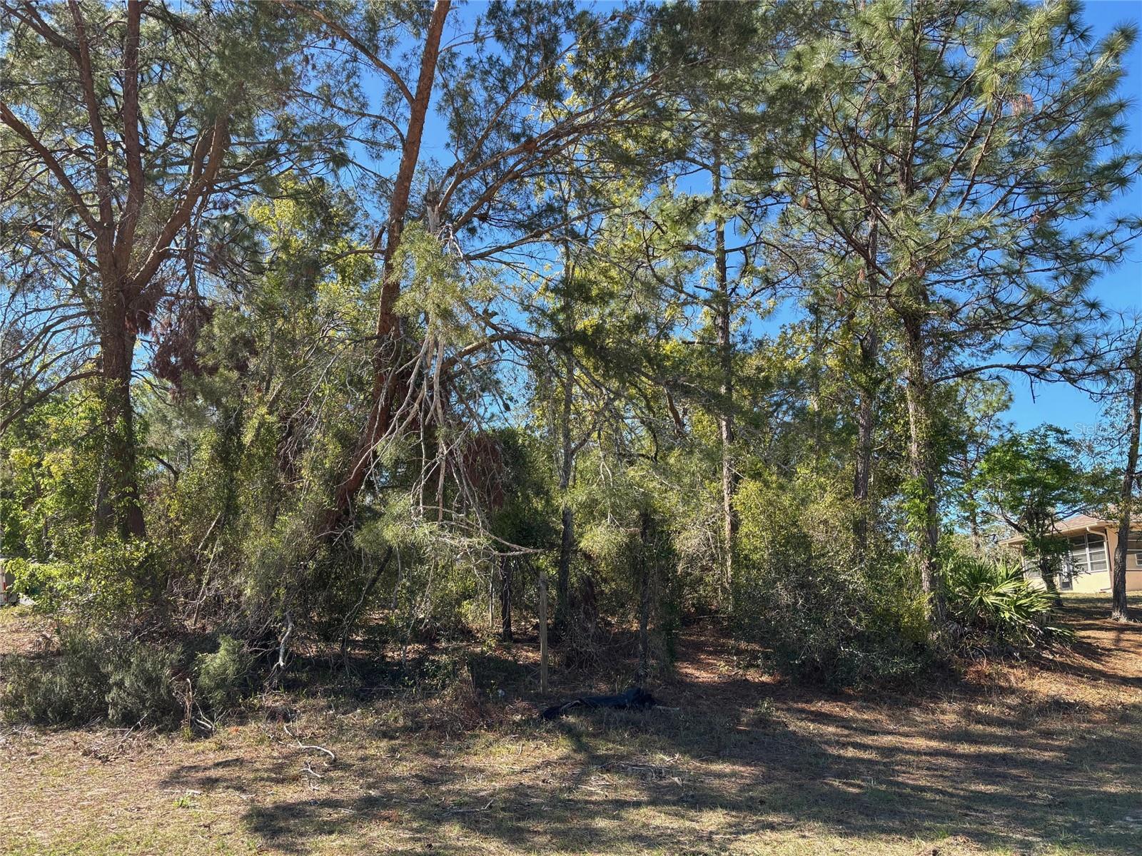 Lot 16 PENDLETON ST, SPRING HILL, FL, 34609