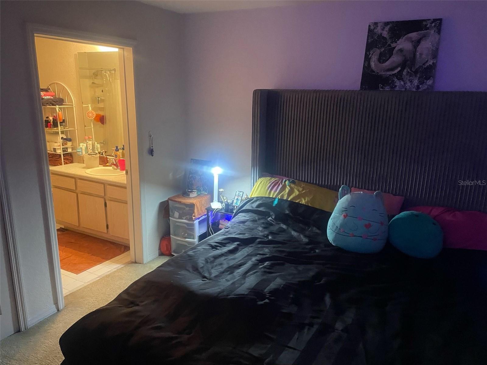5471 VINELAND RD #7108, ORLANDO, FL, 32811
