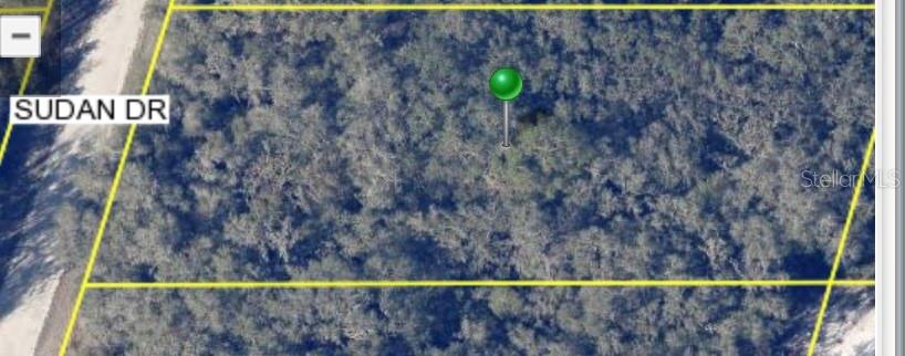 SUDAN DR, WEBSTER, FL, 33597