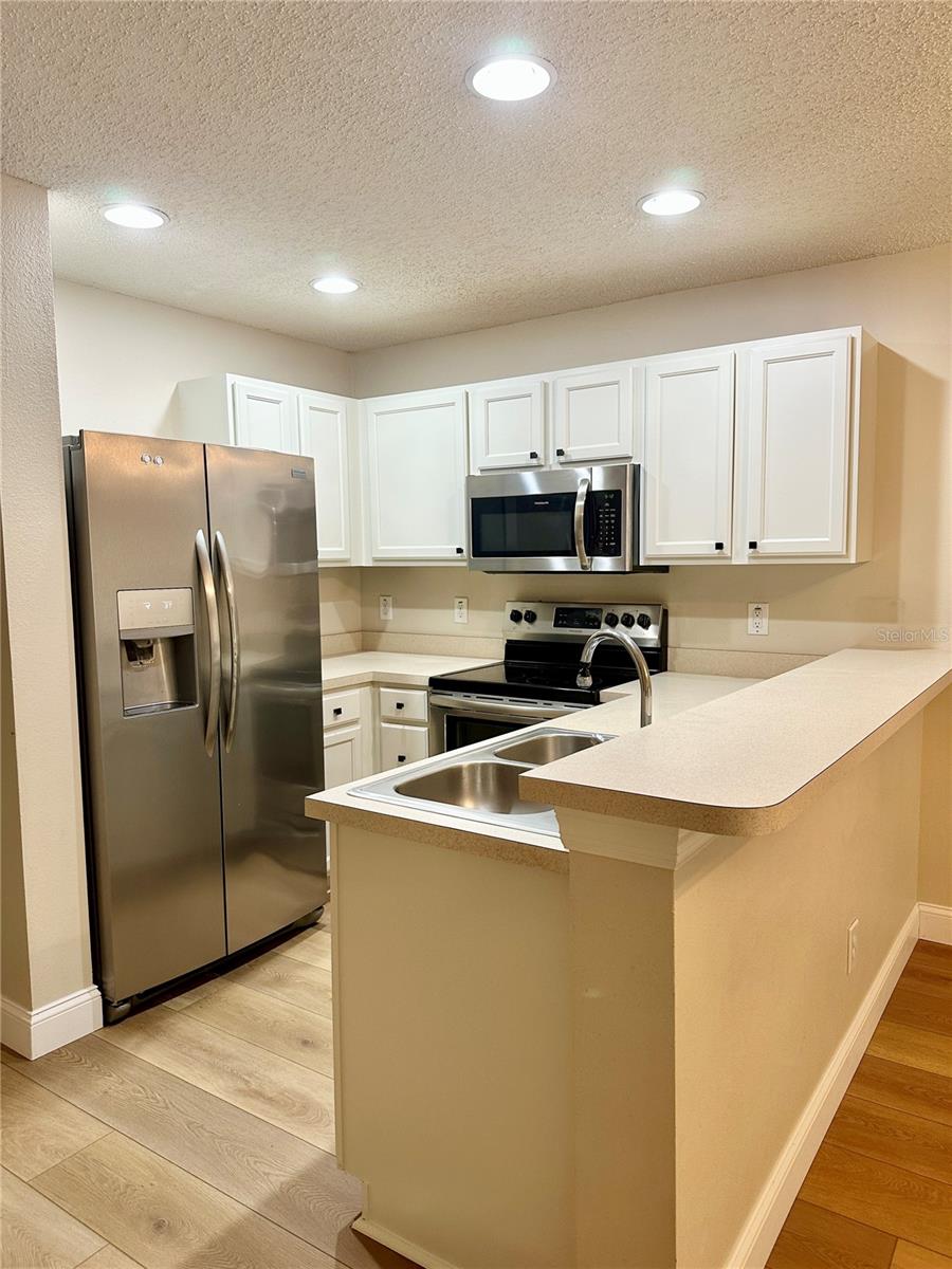4241 WINDING RIVER WAY, LAND O LAKES, FL, 34639